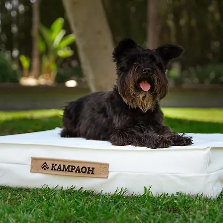 Parque de Campismo Kampaoh Córdova